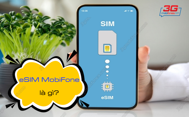 esim mobifone la gi esim mobifone la gi