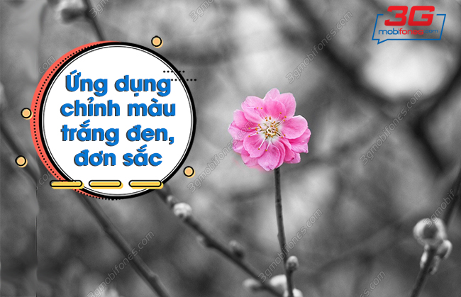 Ứng dụng chỉnh màu trắng đen cho phép chúng ta nhanh chóng và dễ dàng chuyển đổi giữa màu đen và trắng. Một công cụ hữu ích và tiện lợi giúp chúng ta thỏa sức khám phá và sáng tạo với những bức ảnh độc đáo.