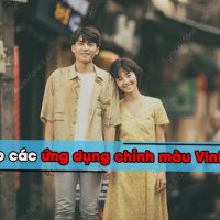 app chinh mau Vintage