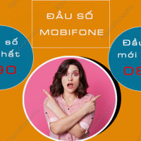 dau so mobifone