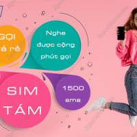 sim tam mobifone