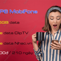 goi cuoc 21gp6 mobifone