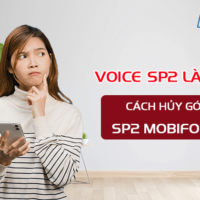 voice sp2 la gi