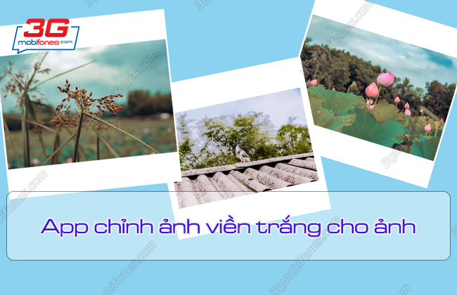 Top 7 App Tạo Khung Viền Trắng Cho Ảnh Sống Ảo Chuyên Nghiệp