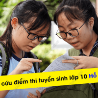 cach kiem tra diem thi lop 10 Ho chi minh 2023 - 2024