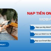 nap the mobifone online