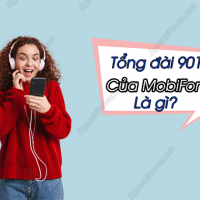 9011 Mobifone la tong dai gi