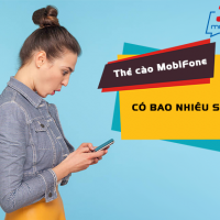 the cao mobifone co bao nhieu so