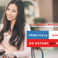 cach dang ky goi cuoc DATA60 mobifone