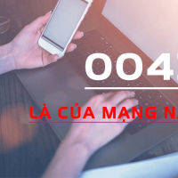 00431 la cua mang nao