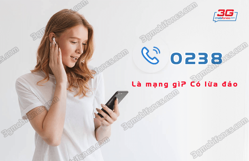 dau so 0238 la mang gi