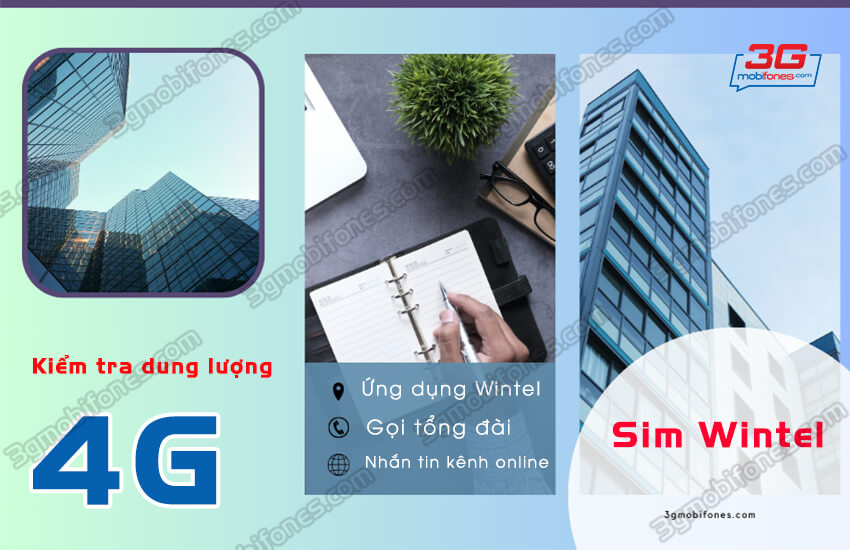 huong dan kiem tra dung luong 4g wintel