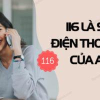 116 la so dien thoai cua ai