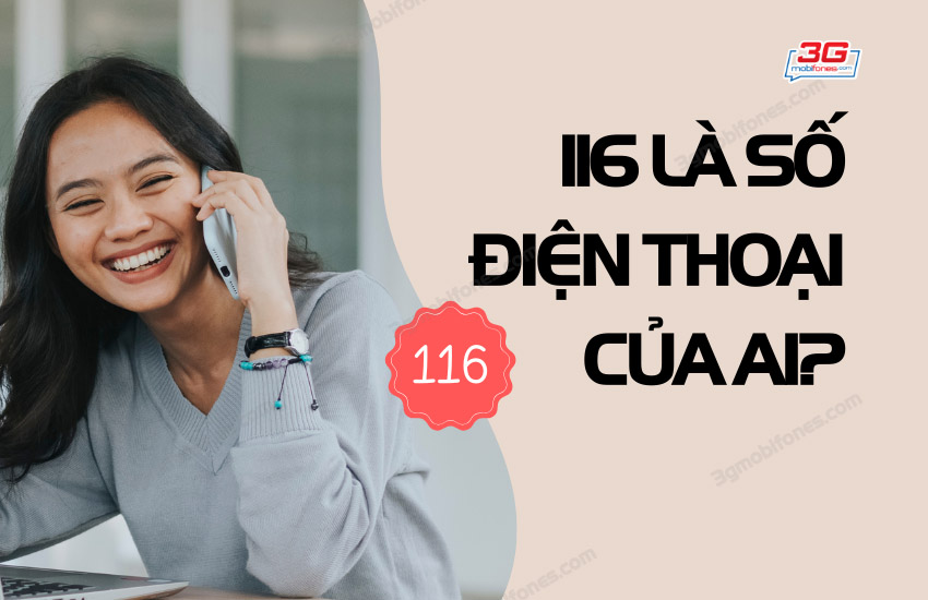 116 la so dien thoai cua ai